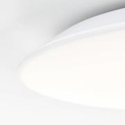 Brilliant Colden LED-taklampa för badrum, vit, tänd/släck, Ø 29 cm