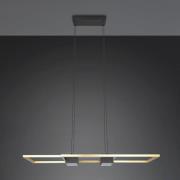 Trio Lighting Albany LED-hänglampa, svart/guld, 100 x 28 cm aluminium ...