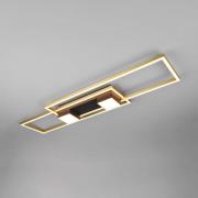 Trio Lighting LED-taklampa Albany, svart/guld 100 x 28 cm aluminium CC...