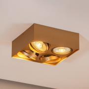 Argon Takspotlight Riesta, guld, 4 lampor