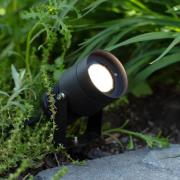 Markslöjd Garden 24 LED-spotlight, svart, 15 watt