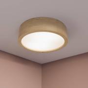 TEMAR LIGHTING Cleo taklampa, Ø 28 cm, 2 lampor, ek, E27