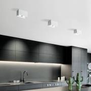 TECNICO by Sforzin Taklampa Elide 2 lampa