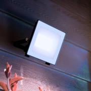 Philips utomhus LED-spot Lois UE flood, 14 W, 5 000 K, IP65