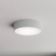 TEMAR LIGHTING Taklampa Cleo 300, grå, sensor, IP54, Ø 30 cm, metall