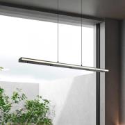 Trio Lighting LED-hänglampa Graham, svart, metall, upp/ner, CCT, dimba...