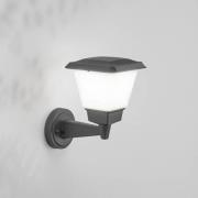 Fabas Luce Utomhusvägglampa Lena, mörkgrå, metall, E27, 27 cm, IP54