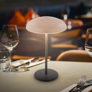 Briloner LED-bordslampa med batteri Brilo unplugged Caxa, beige/antrac...