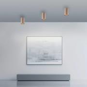 PURE LED-badrumstaklampa Point, bronsfärgad, Ø 6 cm, IP44