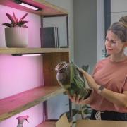 OSRAM LED-bänklampa Linear Edge Sensor RGBW 30 cm svart