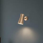 Argon Vägglampa Lotta, guldfärgad, spot, stål, justerbar