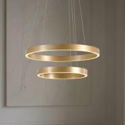 Lucande LED-hänglampa Yonam, Ø 60 cm, 2 lampor, guld, CCT