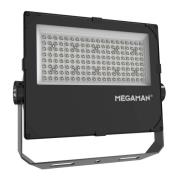 MEGAMAN utomhus LED-spot Hugo, 90 W, 4000 K, IP66