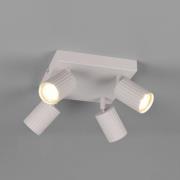 Trio Lighting Takspotlight Soka, ljusgrå, längd 20 cm, metall, 4 lampo...