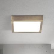 ORION LED-taklampa Disc, antik mässingsfärgad, längd 14 cm, CCT