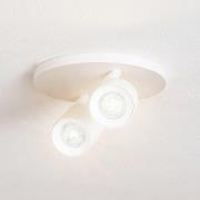 Arcchio spotlight Brinja, vit, rund, Ø 7 cm, 2 lampor, GU10