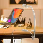 Lindby klämlampa Jyla, vit, 2 700 K, GX53