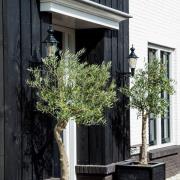 K.S. Verlichting Nostalgic Edam M utomhusvägglampa, grön/koppar