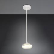 Trio Lighting LED-hänglampa Tarsia, matt vit, Ø 21 cm, glas