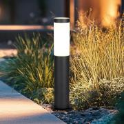 Trio Lighting Sockellampa Trioto, matt svart, höjd 45 cm, stål