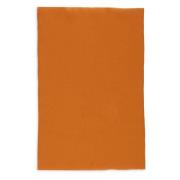 Alberta Ferretti Silky Scarves Orange, Dam