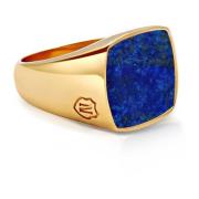 Nialaya Men's Gold Signet Ring with Blue Lapis Yellow, Herr