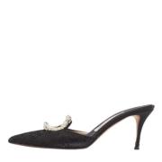 Manolo Blahnik Pre-owned Pre-owned Mesh mules Black, Dam