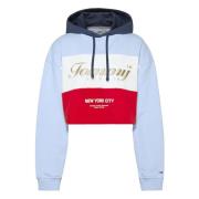 Tommy Jeans Arkiv Färgblockerad Beskuren Hoody Hoodie Multicolor, Dam