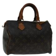 Louis Vuitton Vintage Pre-owned Canvas handvskor Brown, Dam