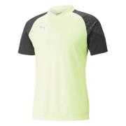 Puma Individuell CUP tränings T-shirt Green, Herr