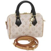 Louis Vuitton Vintage Pre-owned Canvas handvskor Beige, Dam