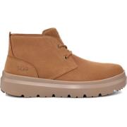 UGG Stiliga Chukka-stövlar Brown, Herr