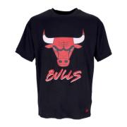 New Era Chicago Bulls Script Mesh Tee Blue, Herr