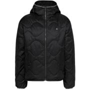 Tommy Hilfiger Svart Dunjacka med Huva Black, Dam