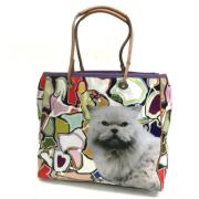 Anya Hindmarch Pre-owned Pre-owned Canvas totevskor Multicolor, Dam