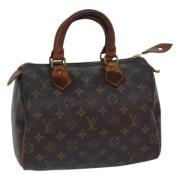 Louis Vuitton Vintage Pre-owned Canvas handvskor Brown, Dam