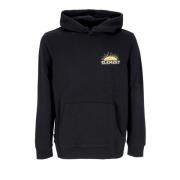 Element Phoenix Az Hoodie Flint Black Black, Herr