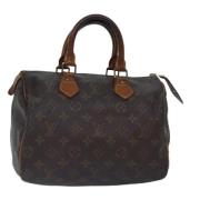 Louis Vuitton Vintage Pre-owned Canvas handvskor Brown, Dam