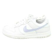 Nike Dunk Low Essential Sail Purple Blue, Dam