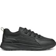 Geox Svarta Fritidssneakers Black, Herr