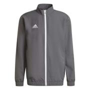 Adidas Entrada 22 Jacka Gray, Herr