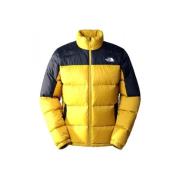 The North Face Guld Dunjacka Diablo Yellow, Herr