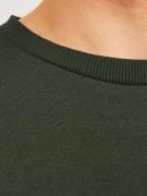 Sweatshirt 'JJFERRIS'
