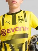 Funktionstopp 'BVB Cup'