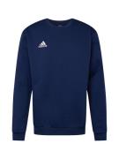 Sport sweatshirt 'Entrada 22'