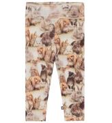 Molo Leggings - Ull - Sting - Baby Rabbits