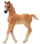 Schleich Horse Club - Arabiskt fÃ¶l - H: 8 cm - 13984