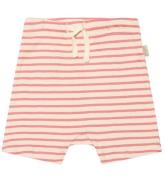 Petit Piao Shorts - Rib - Modal - Sea Shell Rosa