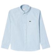 Lacoste Skjorta - Phoenix Blue/White