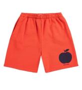 Bobo Choses Shorts - Bermuda - Ed